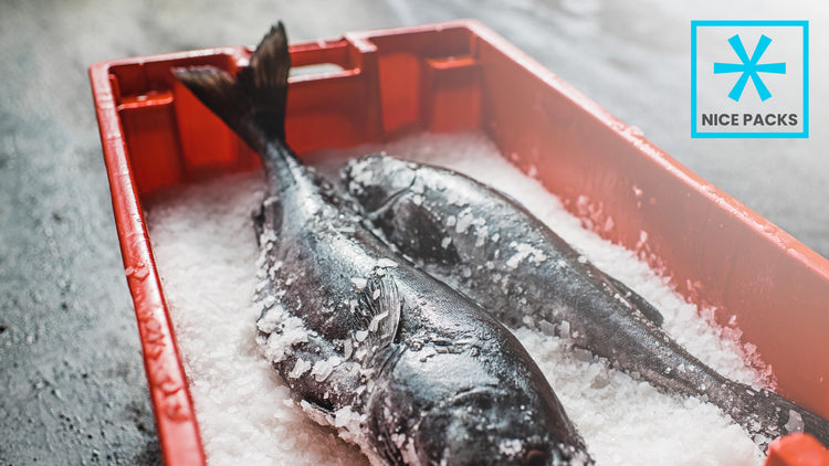 How to Pack Frozen Fish for Shipping – Nice Packs