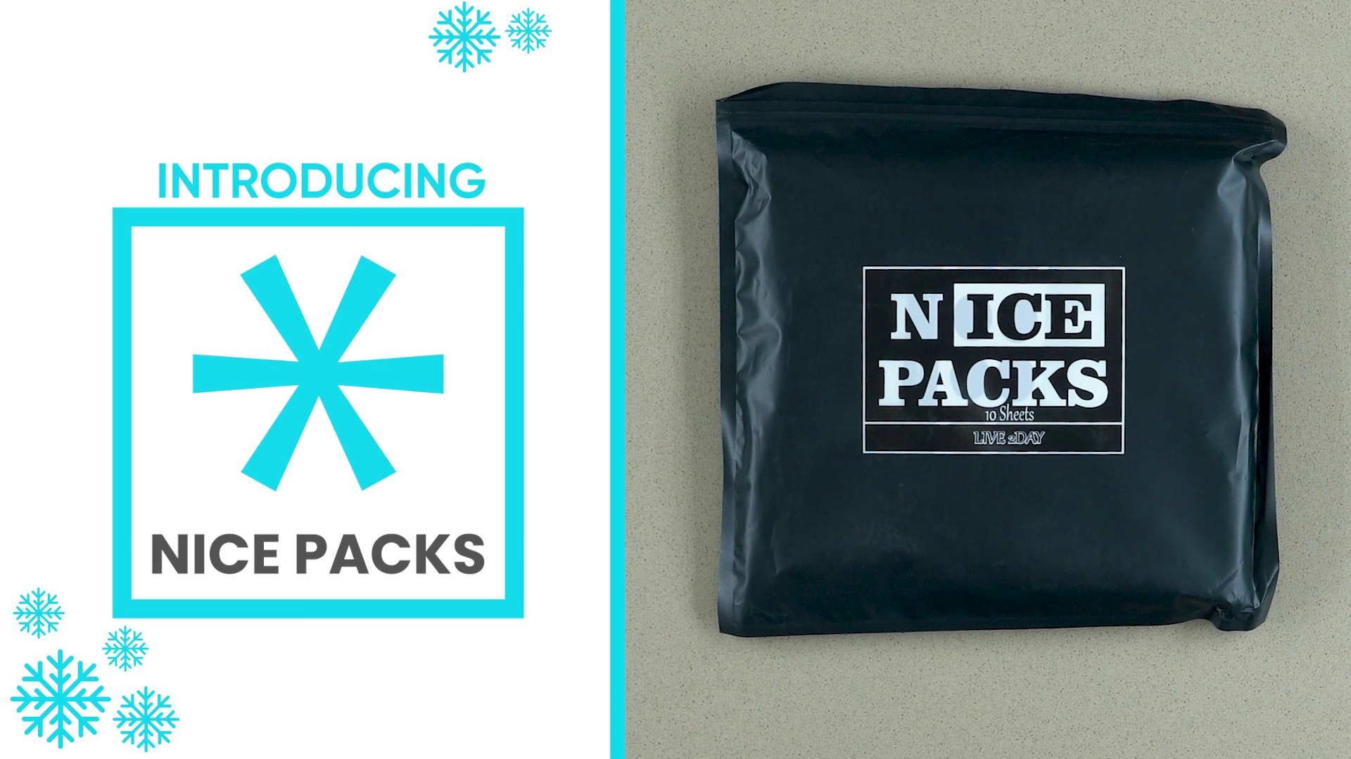 Nice Packs Dry Ice for Coolers – Lunch Box Ice Packs – Dry Ice for Shipping